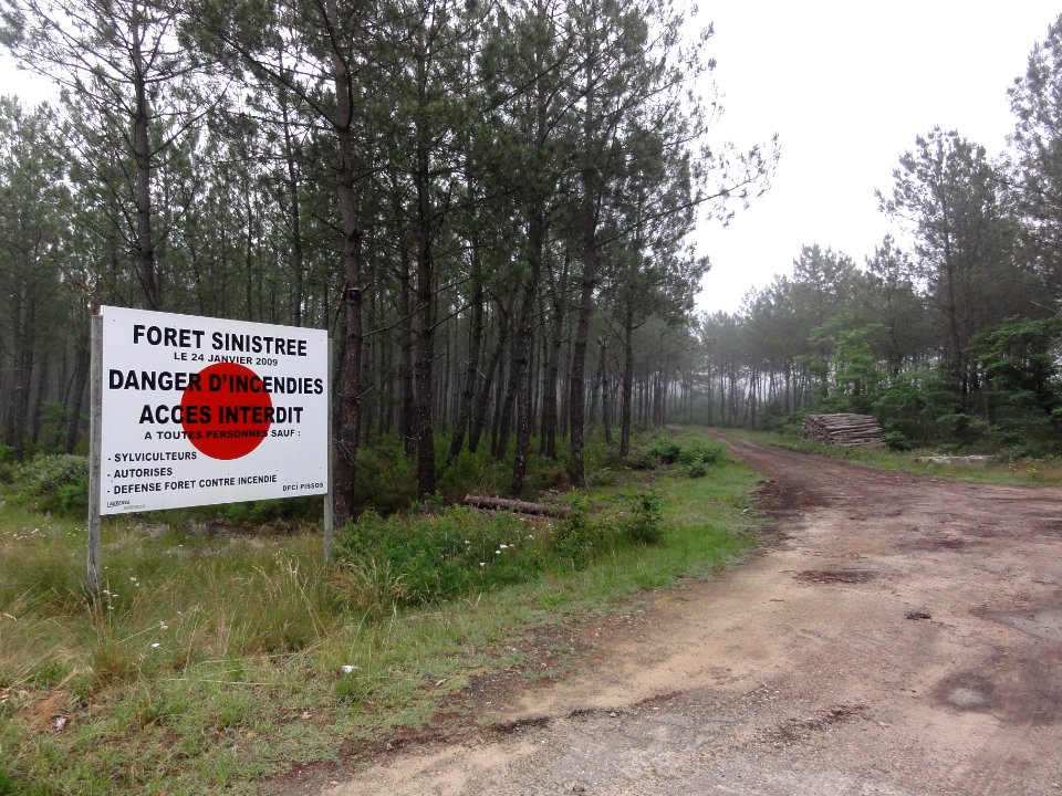 Pissos (Landes) Forêt sinistrée 2009