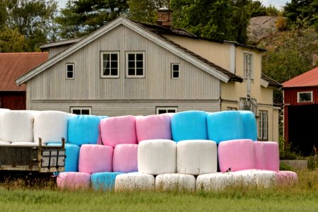 Pink blue and white silage bales photo