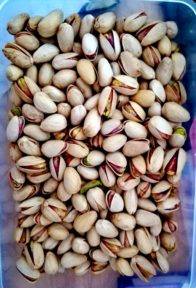 Pistacchi iraniani