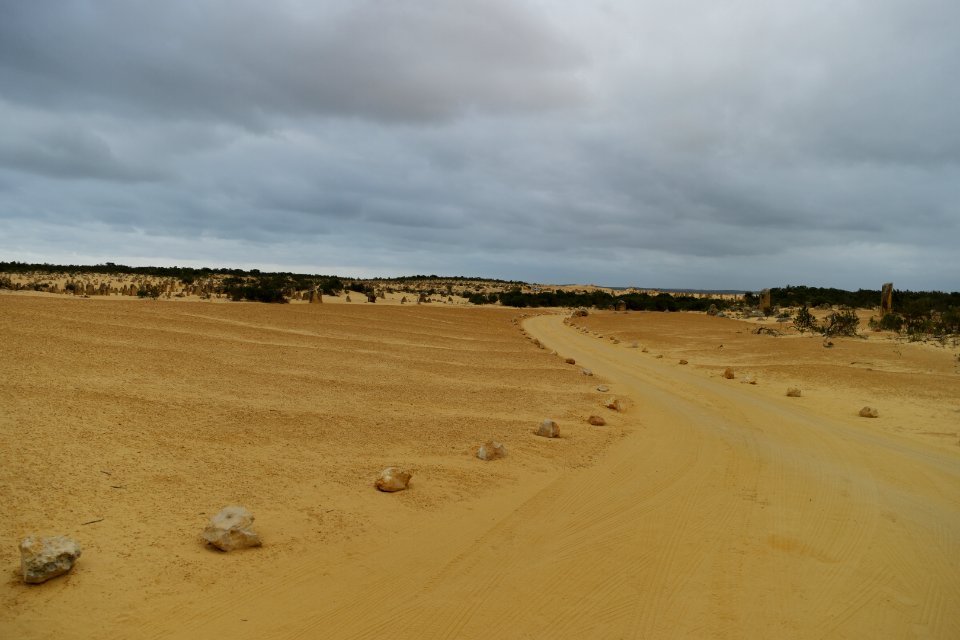 Pinnacles Desert, Nambung National Park, Western Australia 08