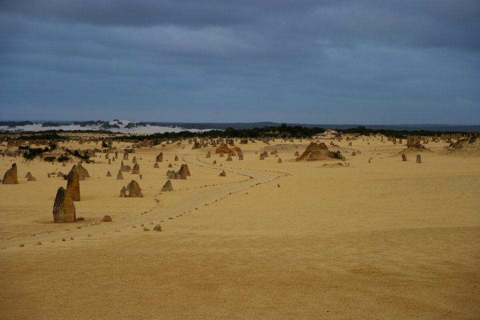 Pinnacles Desert, Nambung National Park, Western Australia 21