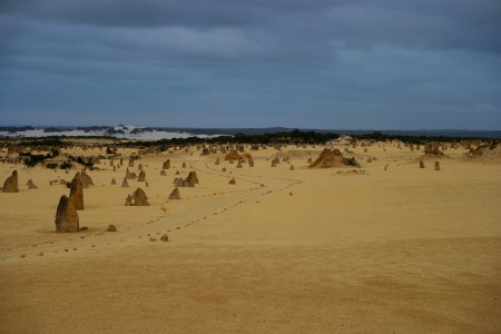 Pinnacles Desert, Nambung National Park, Western Australia 21