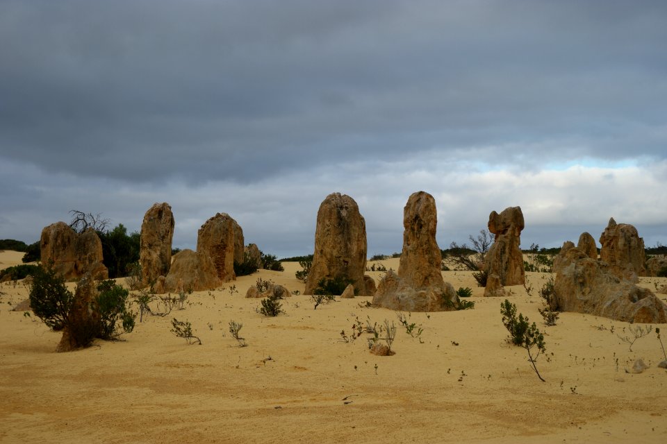 Pinnacles Desert, Nambung National Park, Western Australia 13