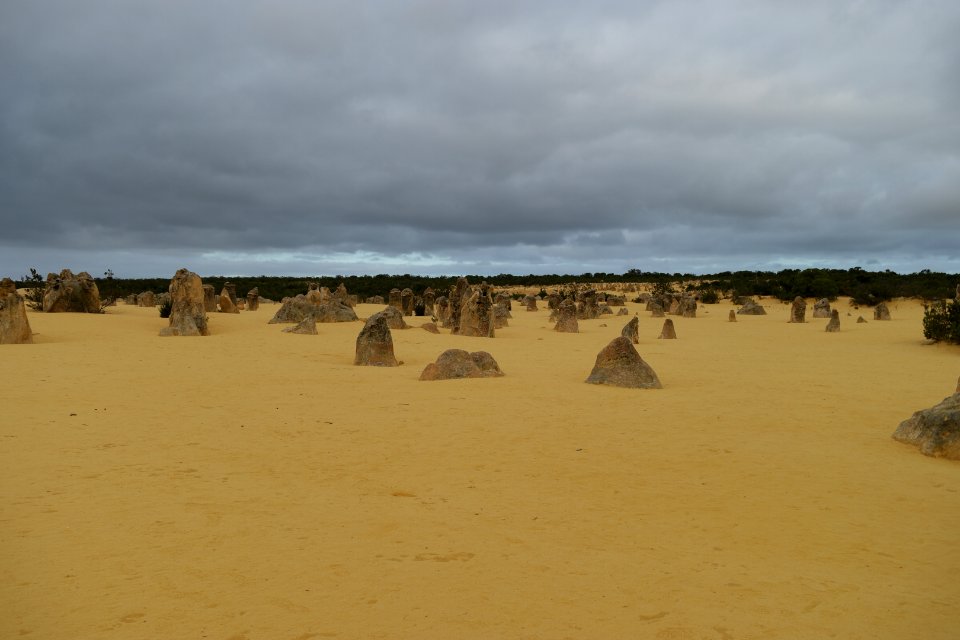 Pinnacles Desert, Nambung National Park, Western Australia 06