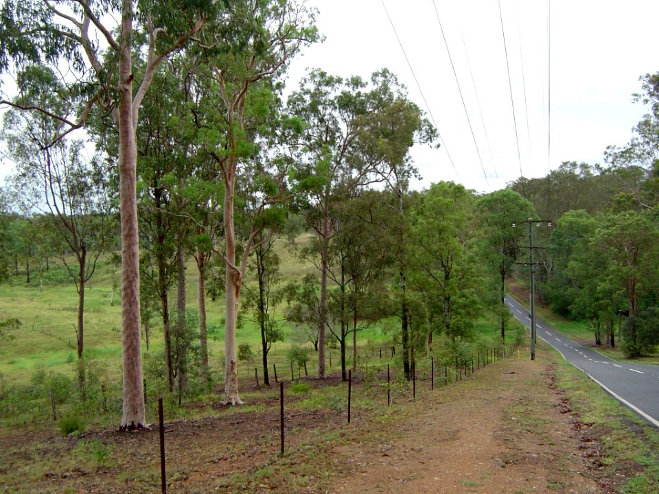 Pinjarra Hills, Queensland