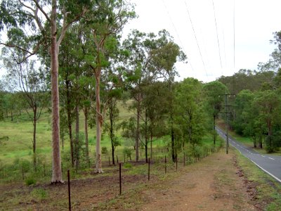 Pinjarra Hills, Queensland
