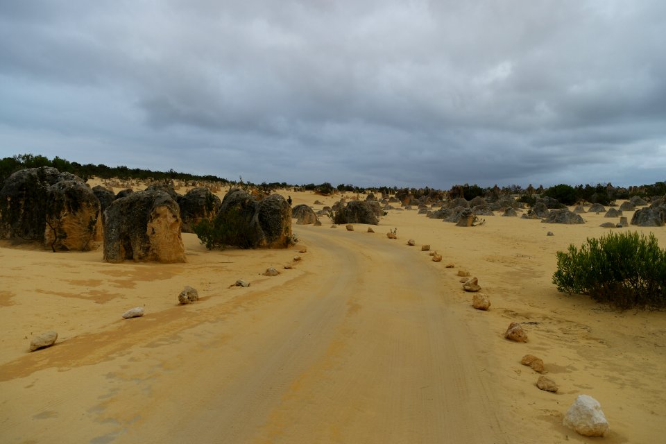 Pinnacles Desert, Nambung National Park, Western Australia 03