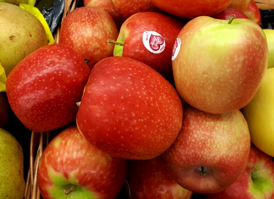 Pink Lady apples 2017 A