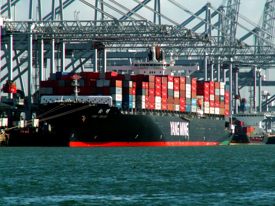 Pine Bridge p1, at the Amazone harbour, Port of Rotterdam, Holland 29-Mar-2006