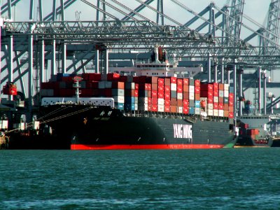 Pine Bridge p1, at the Amazone harbour, Port of Rotterdam, Holland 29-Mar-2006