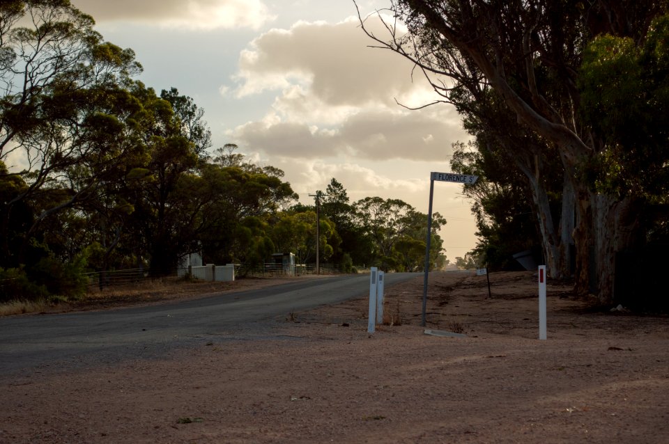 Pinery South Australia