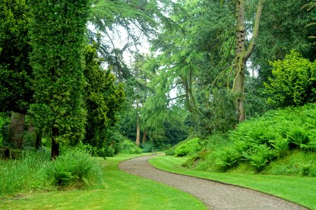 Pinetum - Biddulph Grange Garden - Staffordshire, England - DSC09175