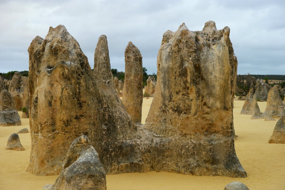 Pinnacles Desert, Nambung National Park, Western Australia 05