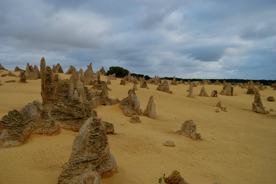 Pinnacles Desert, Nambung National Park, Western Australia 16