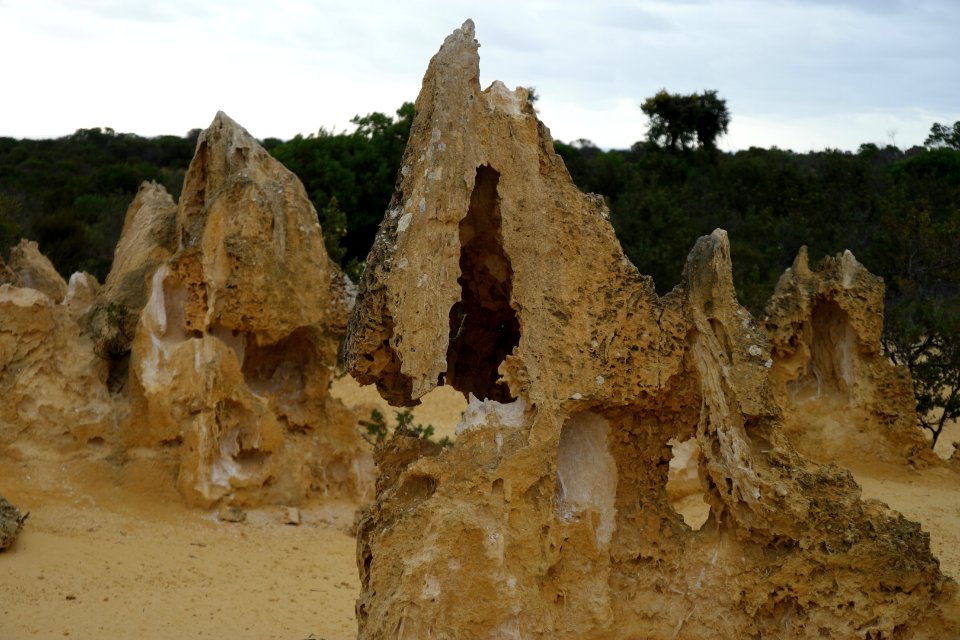 Pinnacles Desert, Nambung National Park, Western Australia 09