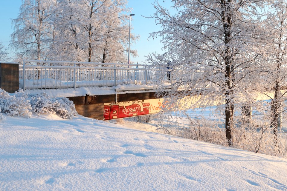 Pikisaarensilta Oulu 20190120