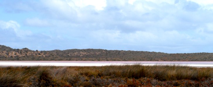 Pink lake in WA photo