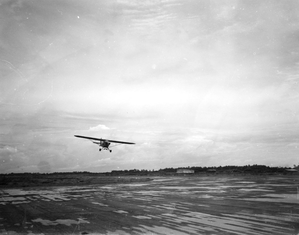 Piper L-4 Cub Grashopper landt op vliegveld, Bestanddeelnr 8523