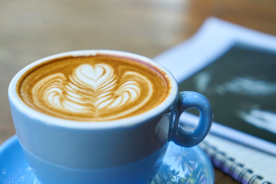 Latte learning caffeine photo