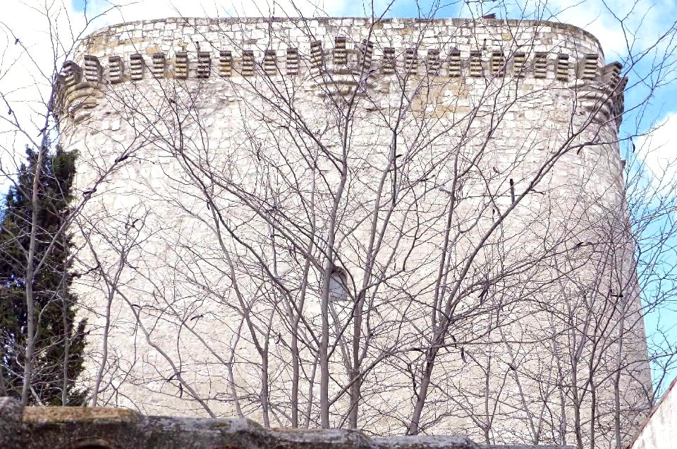 Pinto - Torre de Éboli 2
