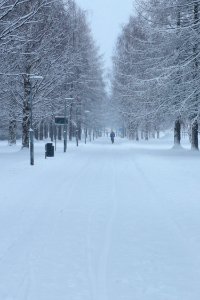 Pikku-Iikan polku Oulu 20210101 03