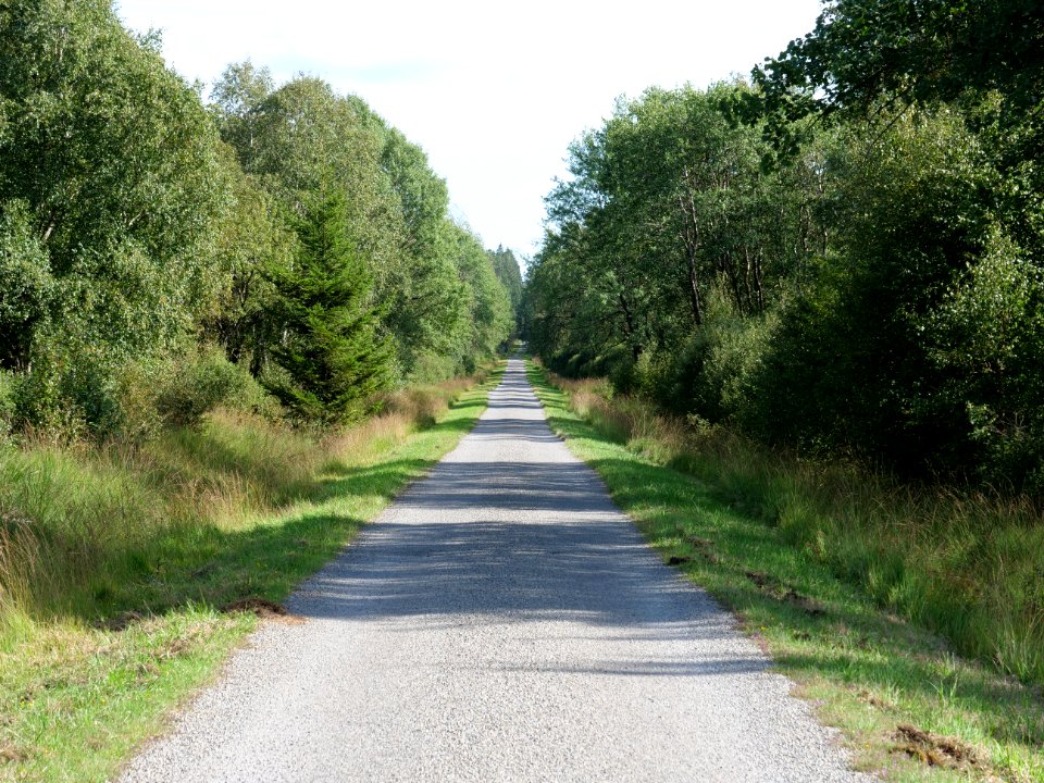 Pilgerweg Hautes Fagnes 08