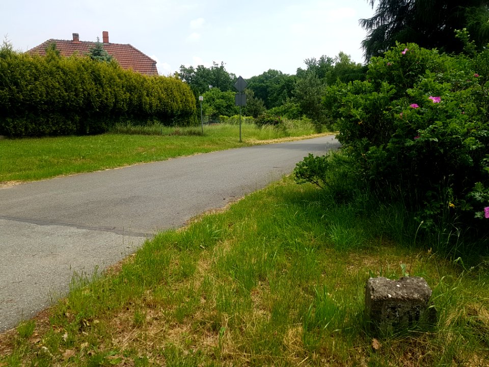 Pilchowice Bierawka, 2021