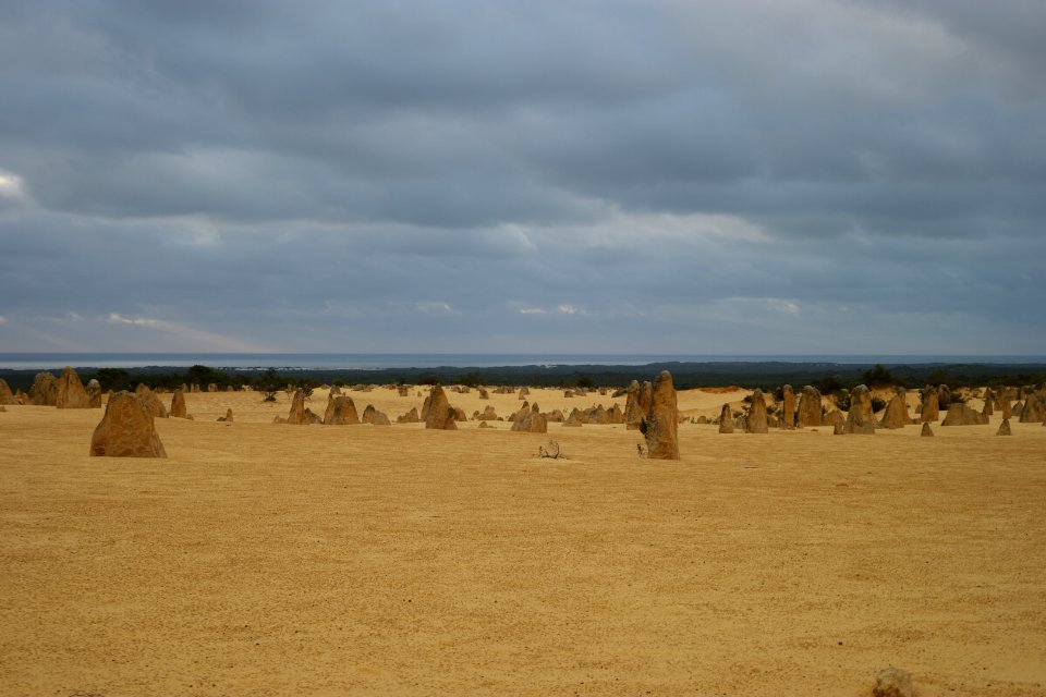 Pinnacles Desert, Nambung National Park, Western Australia 22