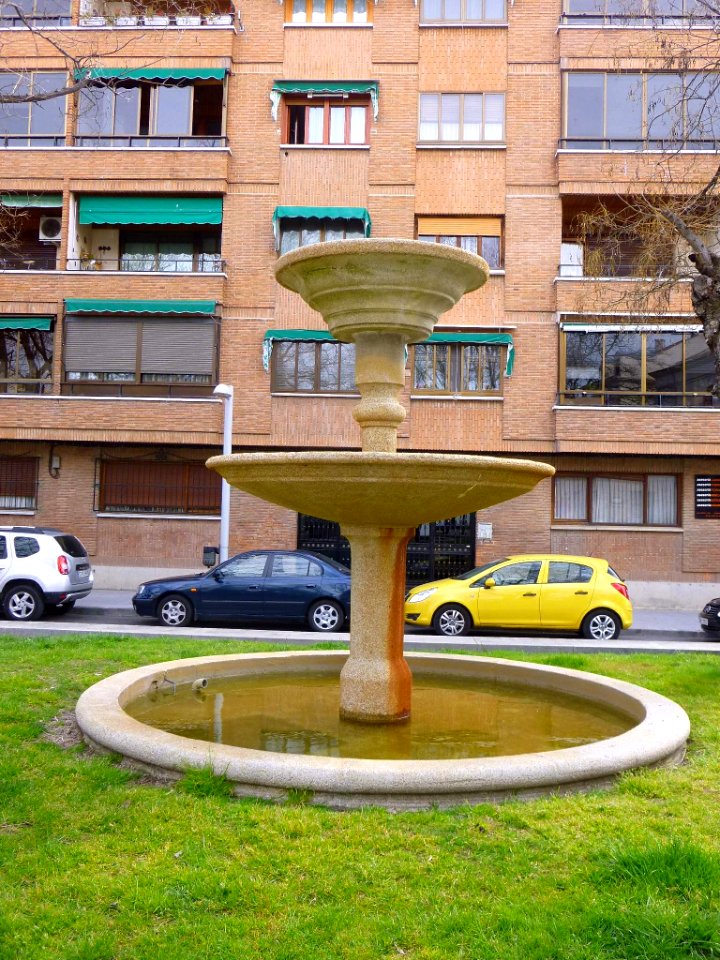 Pinto - 026