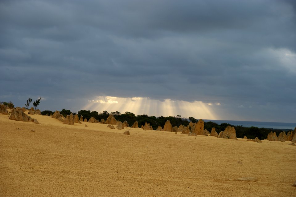 Pinnacles Desert, Nambung National Park, Western Australia 23