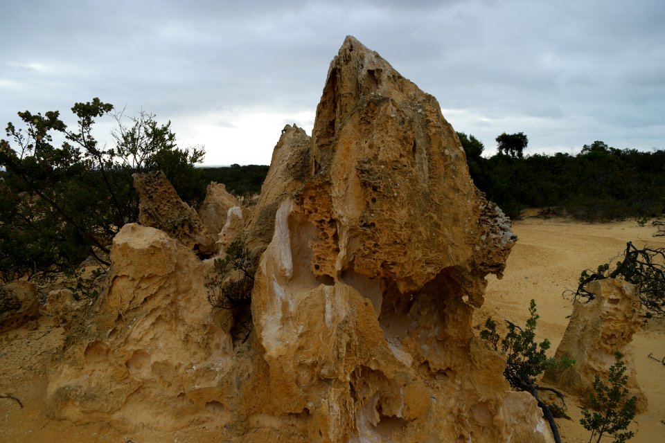 Pinnacles Desert, Nambung National Park, Western Australia 10