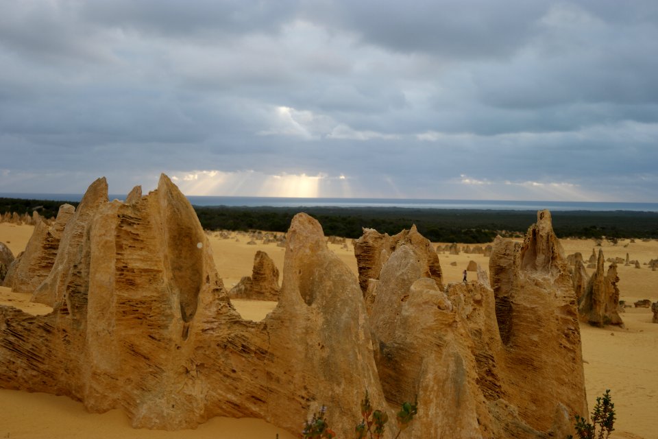 Pinnacles Desert, Nambung National Park, Western Australia 18