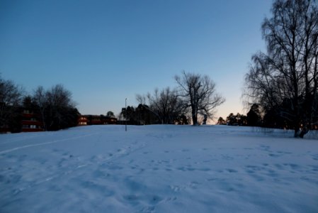 Pikkukankaanpuisto Oulu 20200125