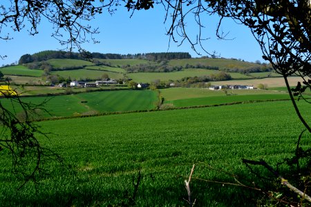 Pinn (2021-04-25) 03