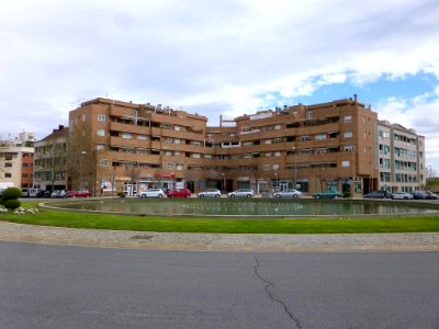 Pinto - 019