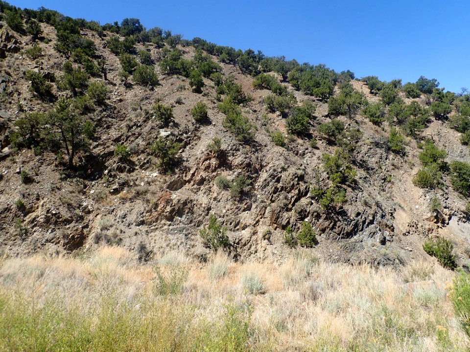 Pilar Formation near Plomo Fault