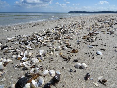 Sea rügen prora