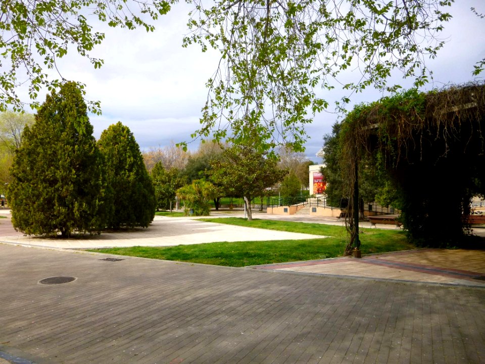 Pinto - Parque Norte 4