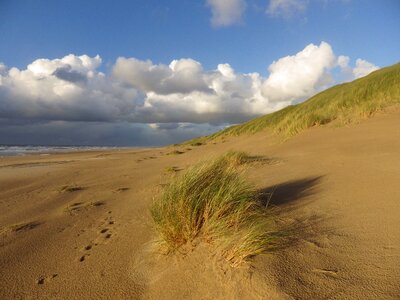 Beach dunes north sea