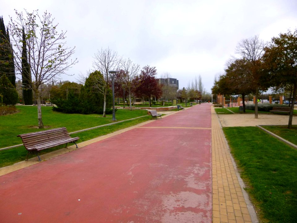 Pinto - Parque Juan Carlos I