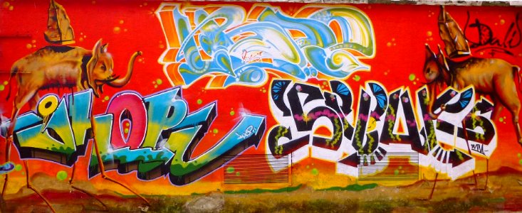 Pinto - Graffiti 2