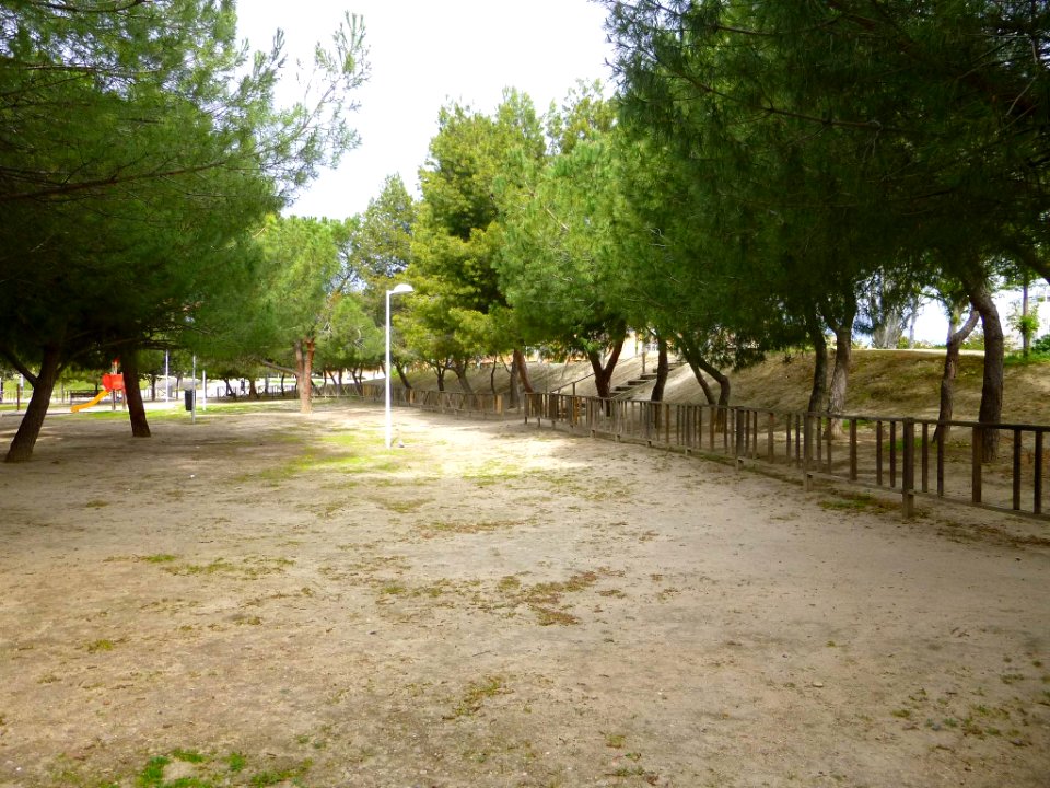 Pinto - Parque Norte 6