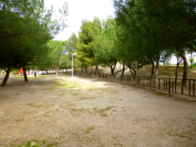 Pinto - Parque Norte 6