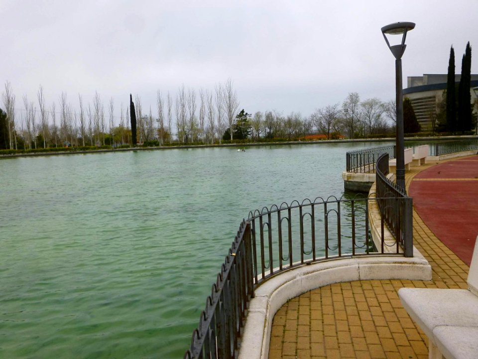 Pinto - lago del Parque Juan Carlos I (4)
