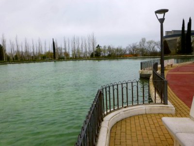 Pinto - lago del Parque Juan Carlos I (4) photo