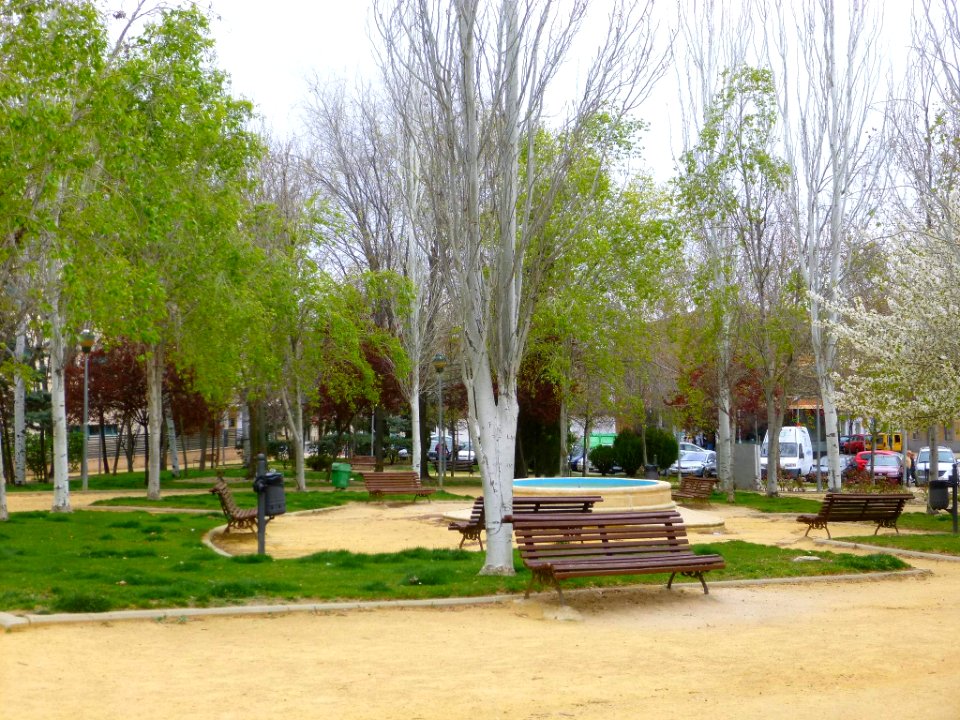 Pinto - parque 02