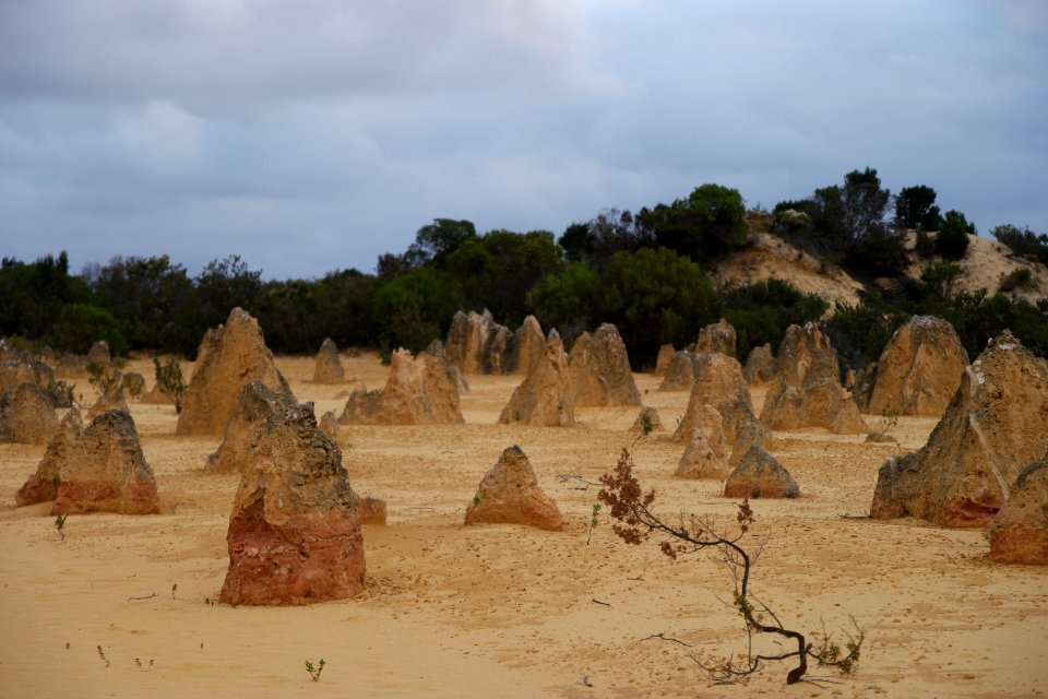 Pinnacles Desert, Nambung National Park, Western Australia 24