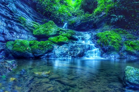 Views water natural