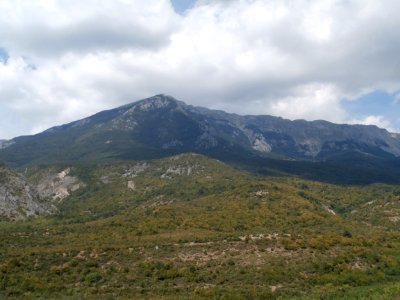 Pinovo 8255223