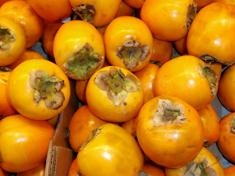 Pile of persimmons